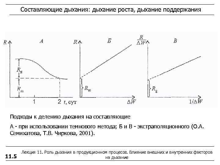 Дыхание рост. Дыхание роста это. Дыхание роста и дыхание поддержания растений. Физиология дыхания растений Семихатова.