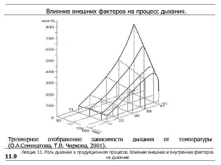    Влияние внешних факторов на процесс дыхания.  Трехмерное  отображение зависимости