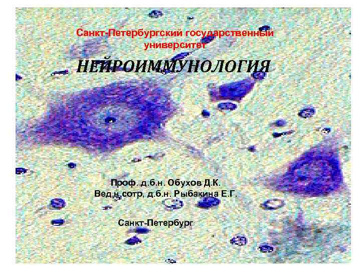 Санкт-Петербургский государственный   университет НЕЙРОИММУНОЛОГИЯ  Проф. д. б. н. Обухов Д. К.