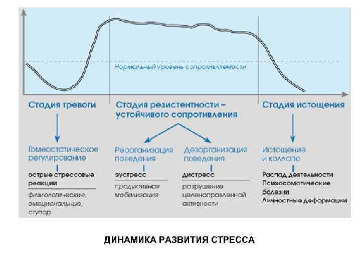 ДИНАМИКА РАЗВИТИЯ СТРЕССА 