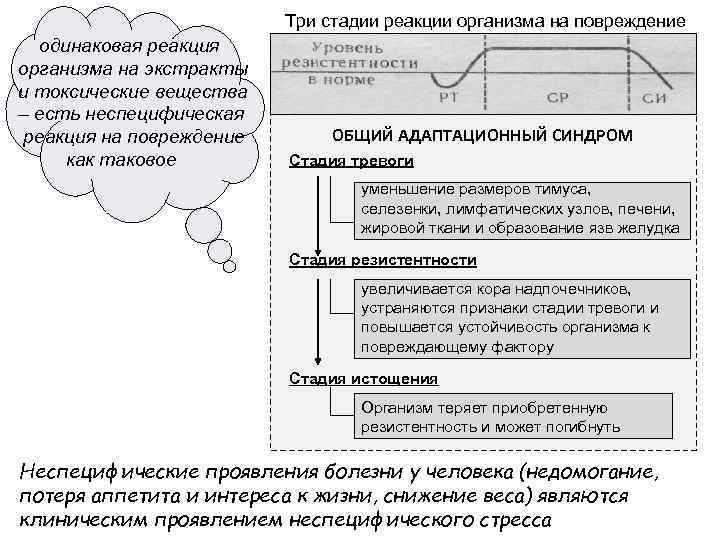      Три стадии реакции организма на повреждение  одинаковая реакция