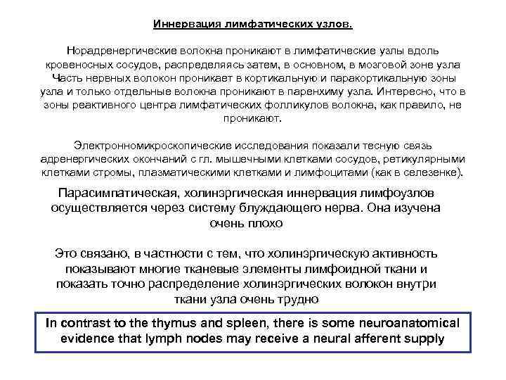     Иннервация лимфатических узлов.  Норадренергические волокна проникают в лимфатические узлы