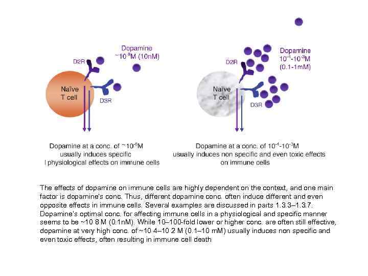 The effects of dopamine on immune cells are highly dependent on the context, and