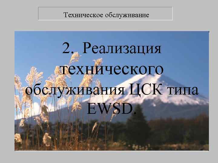   Техническое обслуживание  2. Реализация технического обслуживания ЦСК типа  EWSD. 