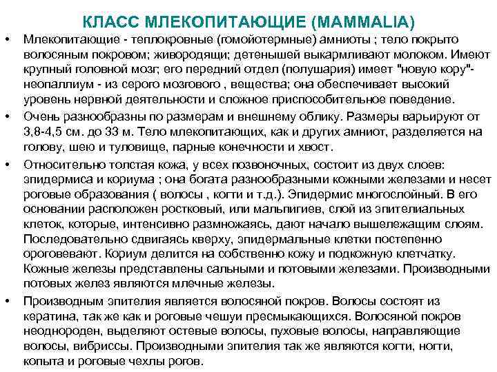    КЛАСС МЛЕКОПИТАЮЩИЕ (MAMMALIA) •  Млекопитающие - теплокровные (гомойотермные) амниоты ;