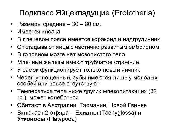   Подкласс Яйцекладущие (Prototheria) • Размеры средние – 30 – 80 см. 