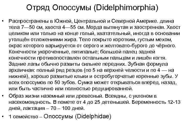   Отряд Опоссумы (Didelphimorphia)  • Распространены в Южной, Центральной и Северной