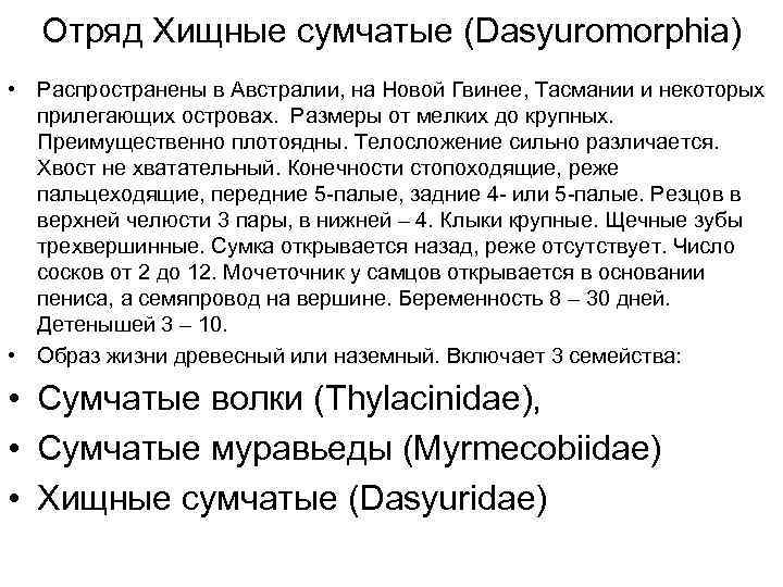  Отряд Хищные сумчатые (Dasyuromorphia) • Распространены в Австралии, на Новой Гвинее, Тасмании и