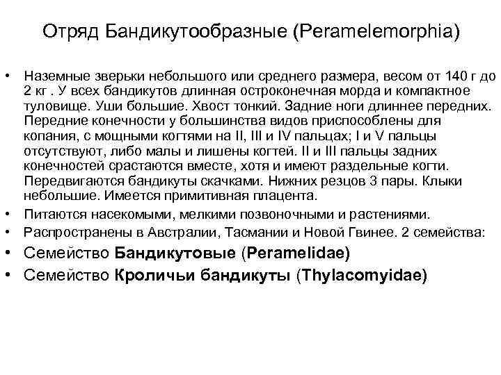  Отряд Бандикутообразные (Peramelemorphia)  • Наземные зверьки небольшого или среднего размера, весом от