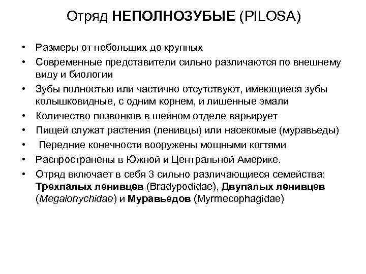   Отряд НЕПОЛНОЗУБЫЕ (PILOSA)  • Размеры от небольших до крупных • Современные