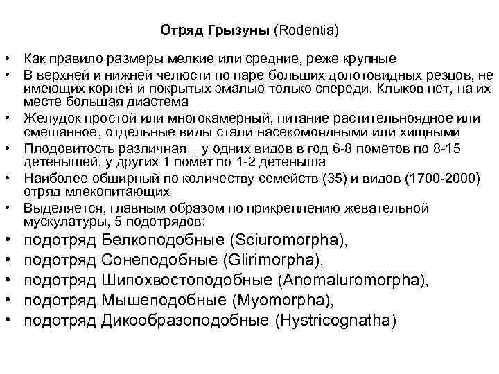      Отряд Грызуны (Rodentia)  • Как правило размеры мелкие