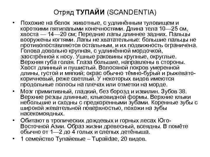    Отряд ТУПАЙИ (SCANDENTIA) • Похожие на белок животные, с удлинённым туловищем
