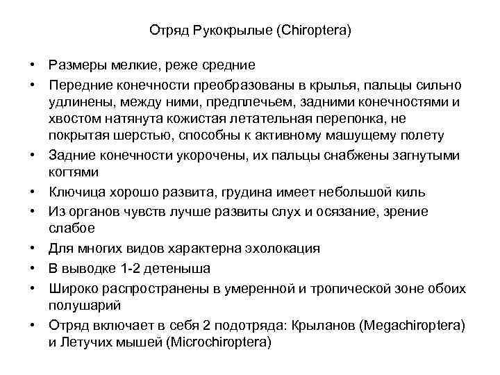    Отряд Рукокрылые (Chiroptera)  • Размеры мелкие, реже средние • Передние