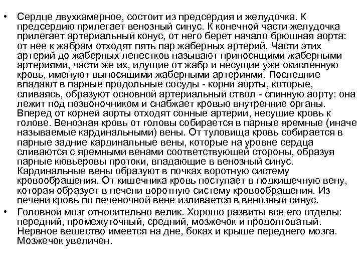  • Сердце двухкамерное, состоит из предсердия и желудочка. К  предсердию прилегает венозный
