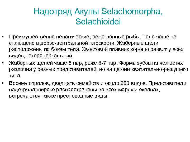  Надотряд Акулы Selachomorpha,     Selachioidei • Преимущественно пелагические, реже
