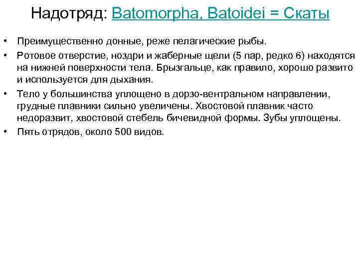  Надотряд: Batomorpha, Batoidei = Скаты • Преимущественно донные, реже пелагические рыбы.  •