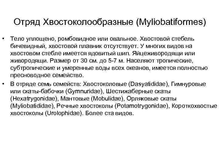   Отряд Хвостоколообразные (Myliobatiformes) • Тело уплощено, ромбовидное или овальное. Хвостовой стебель 