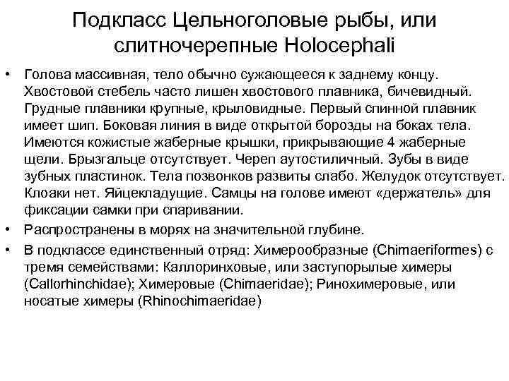    Подкласс Цельноголовые рыбы, или   слитночерепные Holocephali • Голова массивная,