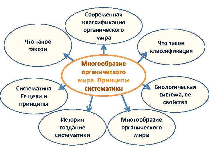     Современная    классификация    органического 