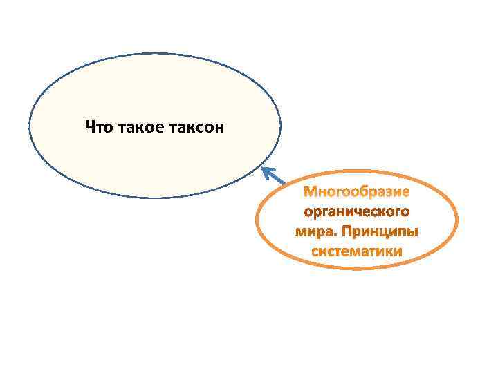 Что такое таксон 