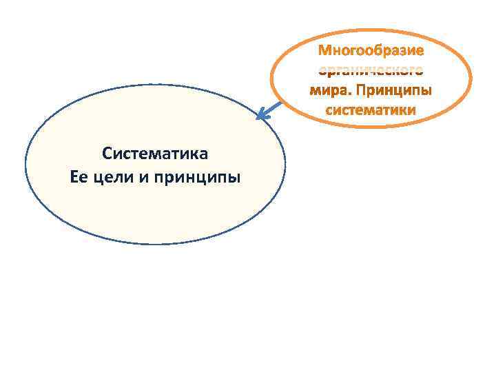   Систематика Ее цели и принципы 