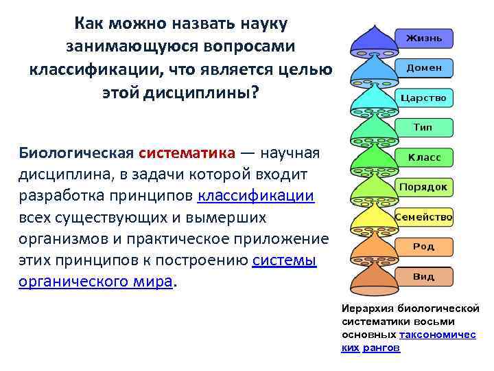 Наука занимающаяся вопросами