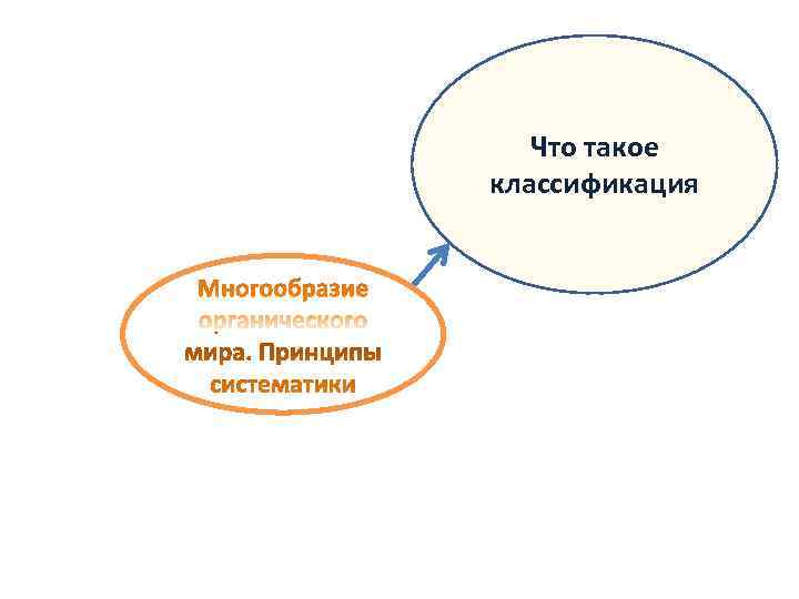   Что такое классификация 