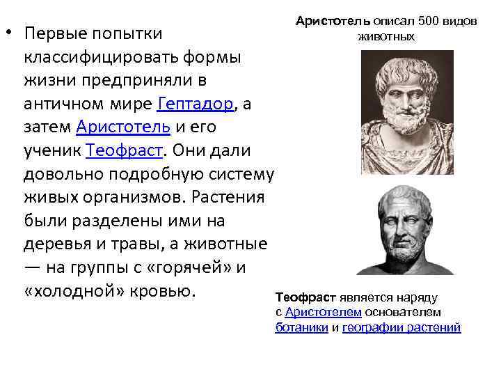       Аристотель описал 500 видов  • Первые