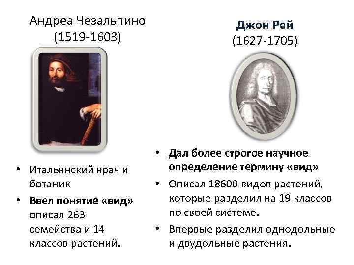  Андреа Чезальпино    Джон Рей (1519 -1603)    