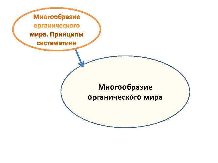 Единство и многообразие истории