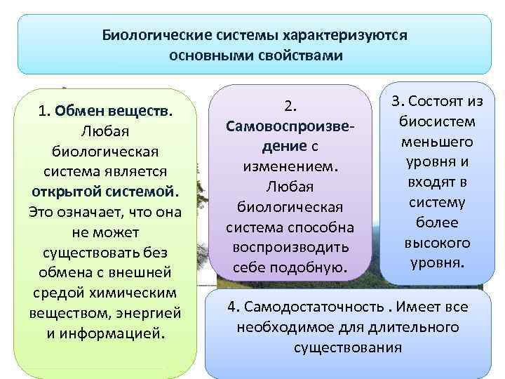    Биологические системы характеризуются    основными свойствами   
