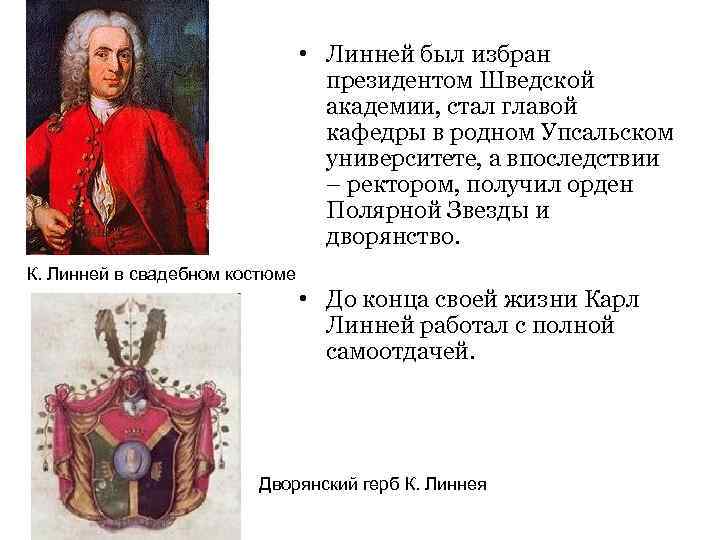        • Линней был избран   