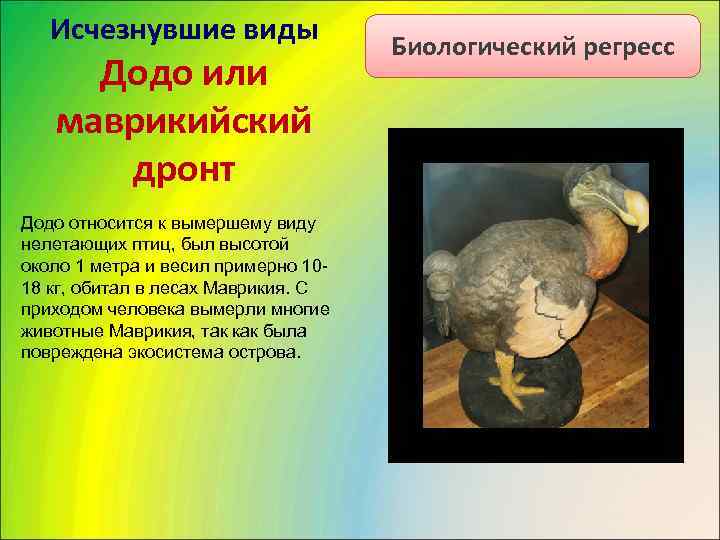   Исчезнувшие виды       Биологический регресс Додо или