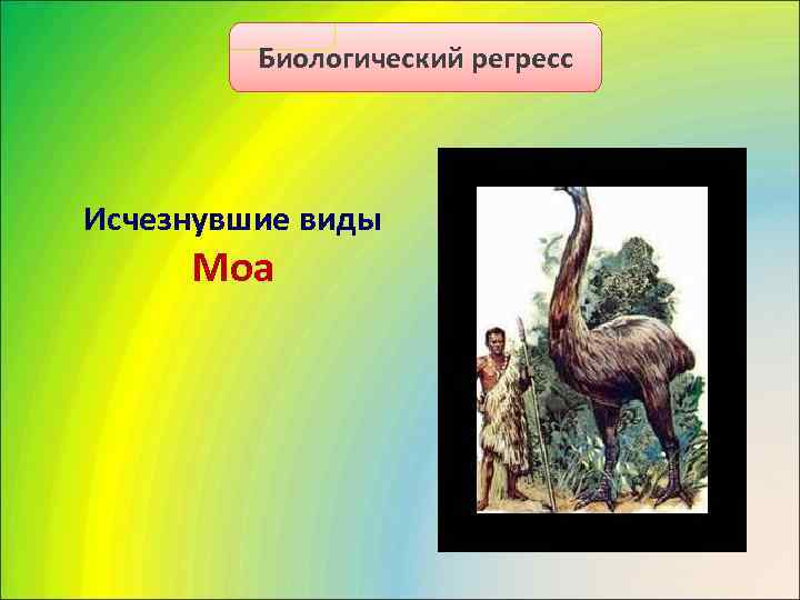    Биологический регресс Исчезнувшие виды Моа 