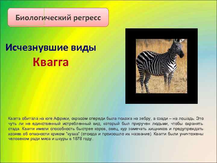   Биологический регресс  Исчезнувшие виды   Квагга обитала на юге Африки,