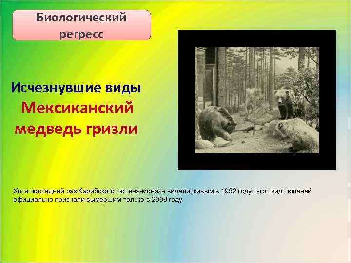  Биологический  регресс  Исчезнувшие виды  Мексиканский медведь гризли  Хотя последний