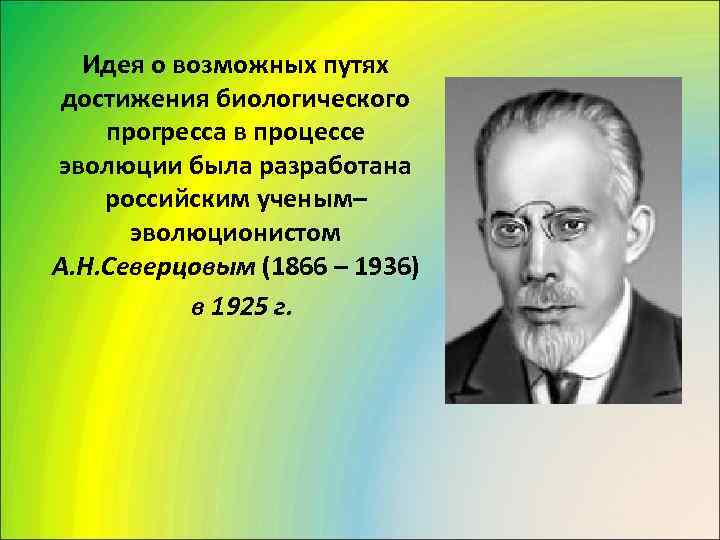  Идея о возможных путях  достижения биологического прогресса в процессе эволюции была разработана