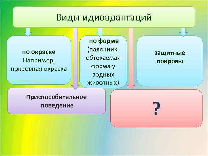    Виды идиоадаптаций    по форме  по окраске 