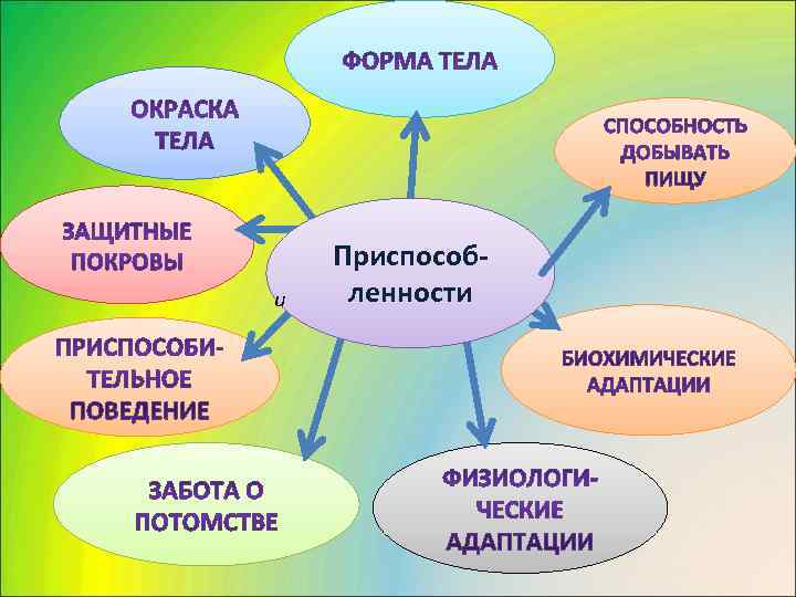   Приспособ- и  ленности 