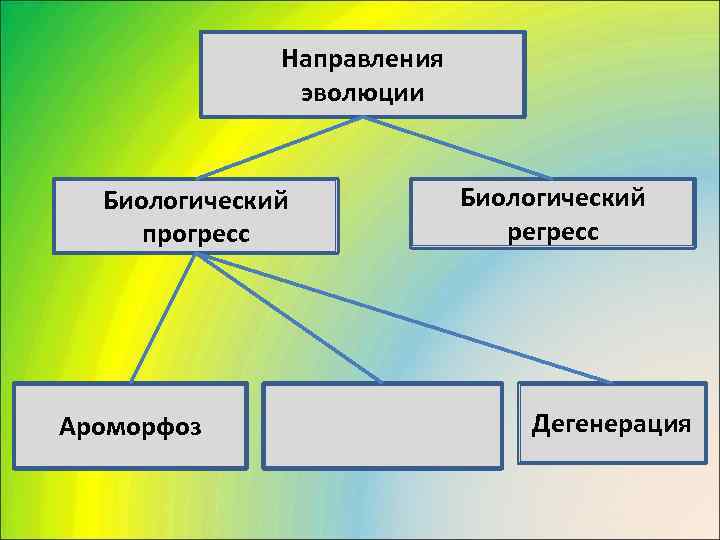     Направления   эволюции Биологический  прогресс   