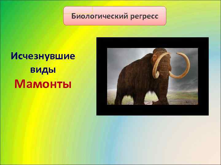    Биологический регресс  Исчезнувшие виды Мамонты 