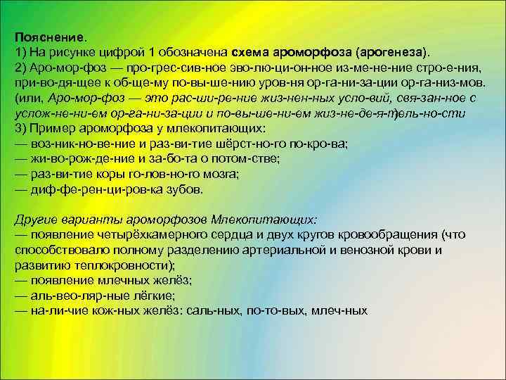 Пояснение. 1) На рисунке цифрой 1 обозначена схема ароморфоза (арогенеза). 2) Аро мор фоз