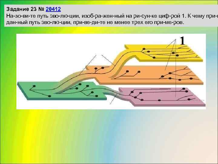 Задание 23 № 20412 На зо ви те путь эво лю ции, изоб ра