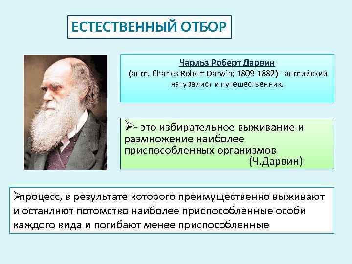    ЕСТЕСТВЕННЫЙ ОТБОР    Чарльз Роберт Дарвин   