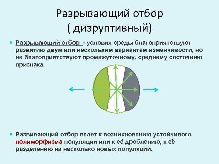 Дизруптивный отбор картинки