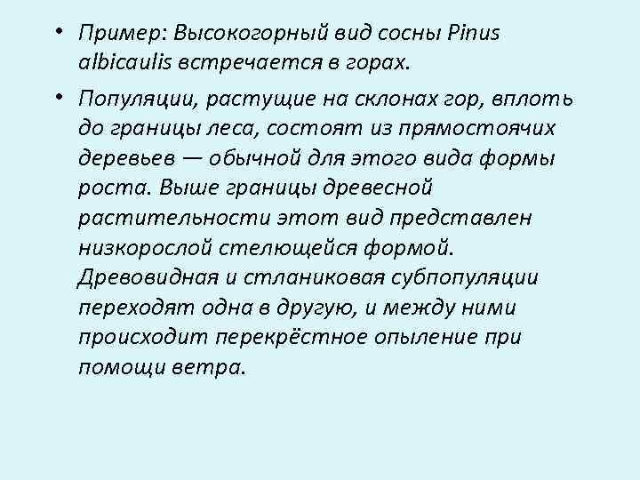  • Пример: Высокогорный вид сосны Pinus  albicaulis встречается в горах.  •