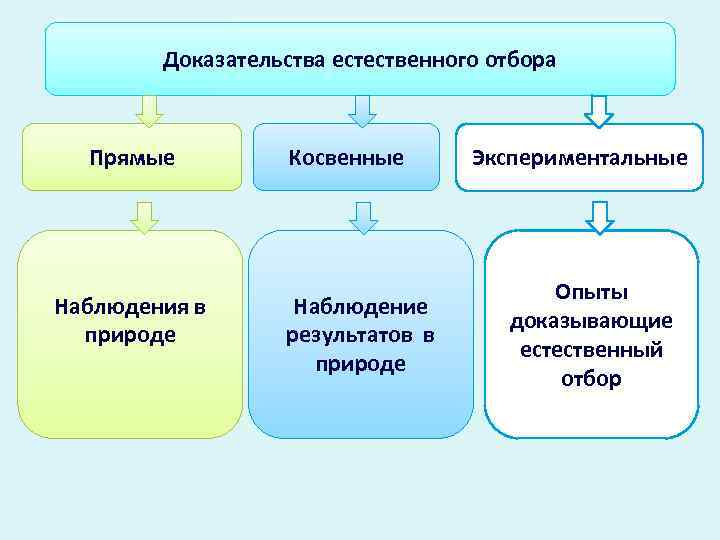 Естественно доказательство