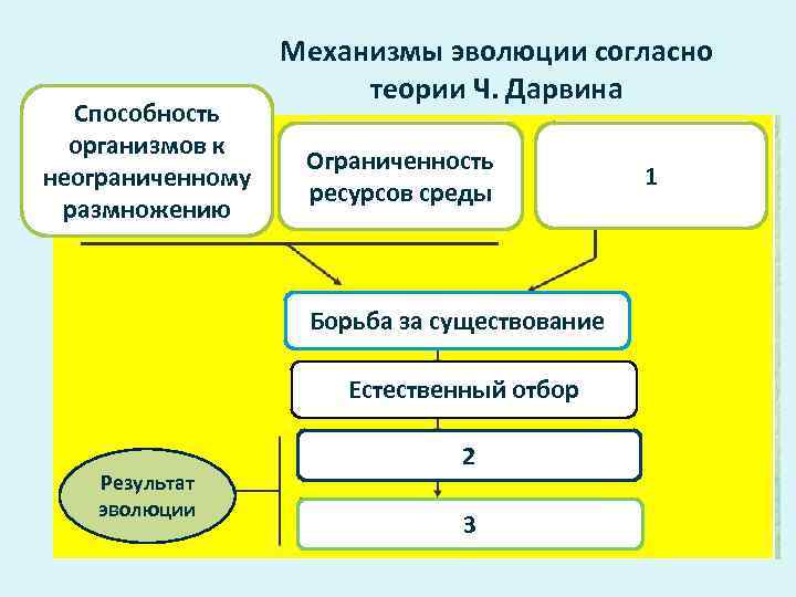     Механизмы эволюции согласно      теории Ч.