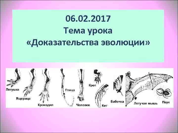   06. 02. 2017  Тема урока  «Доказательства эволюции»  