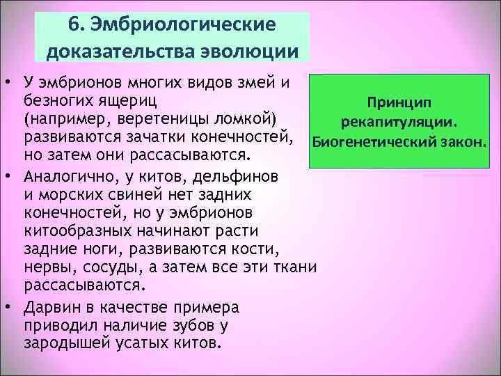  6. Эмбриологические доказательства эволюции • У эмбрионов многих видов змей и  безногих